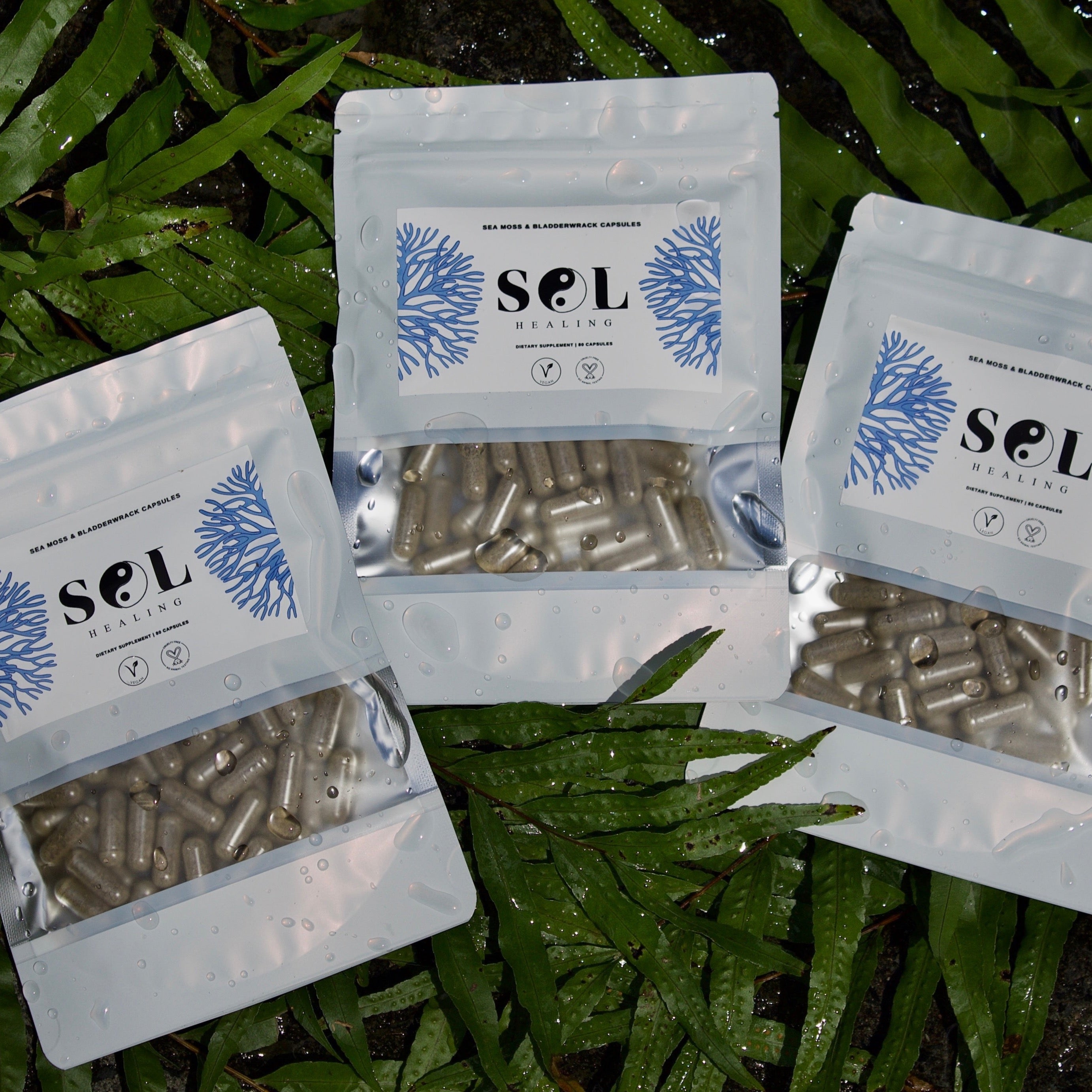 (INTERNATIONAL) SeaMoss, Bladderwack & Burdock Root Capsules