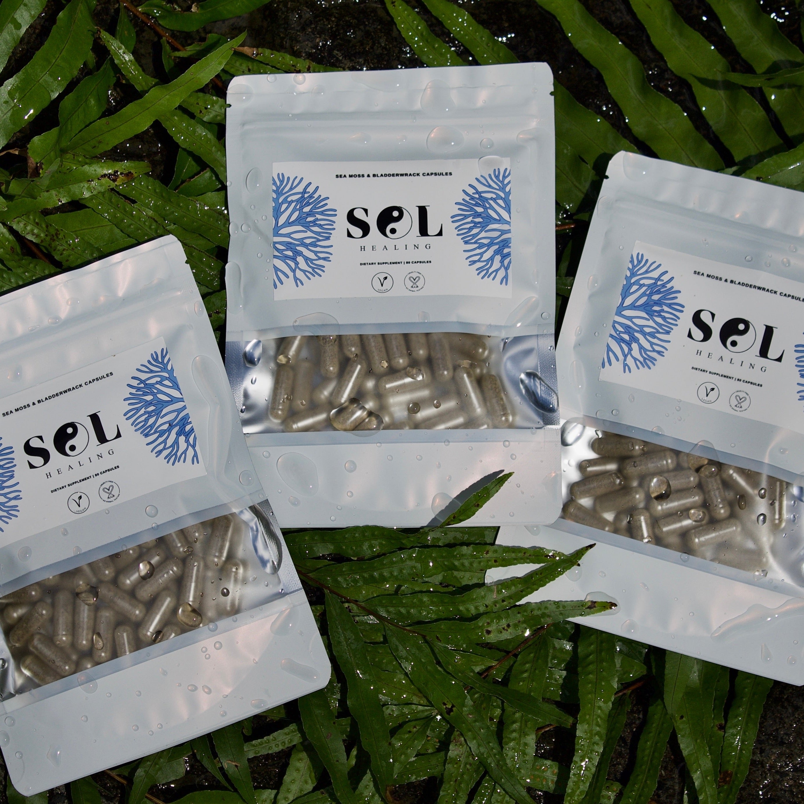 Sea Moss, Bladderwrack and Burdock Root capsules